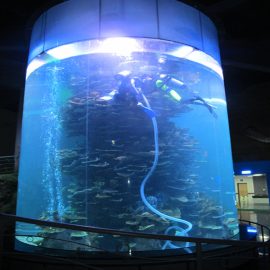 Aquariums किंवा महासागर पार्क साठी एकसारखा ऍक्रेलिक सिलेंडर मोठा मासा टाकी