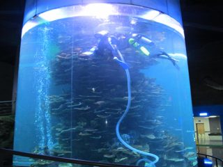 Aquariums किंवा महासागर पार्क साठी एकसारखा ऍक्रेलिक सिलेंडर मोठा मासा टाकी